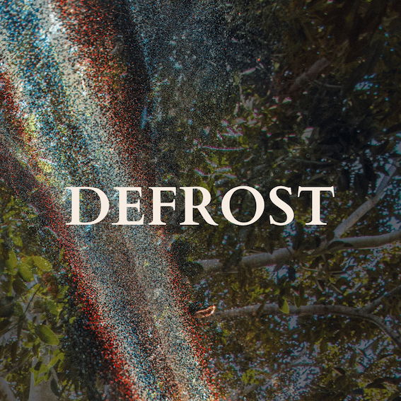 Text over a multicoloured image of the branches of a tree reads: DEFROST