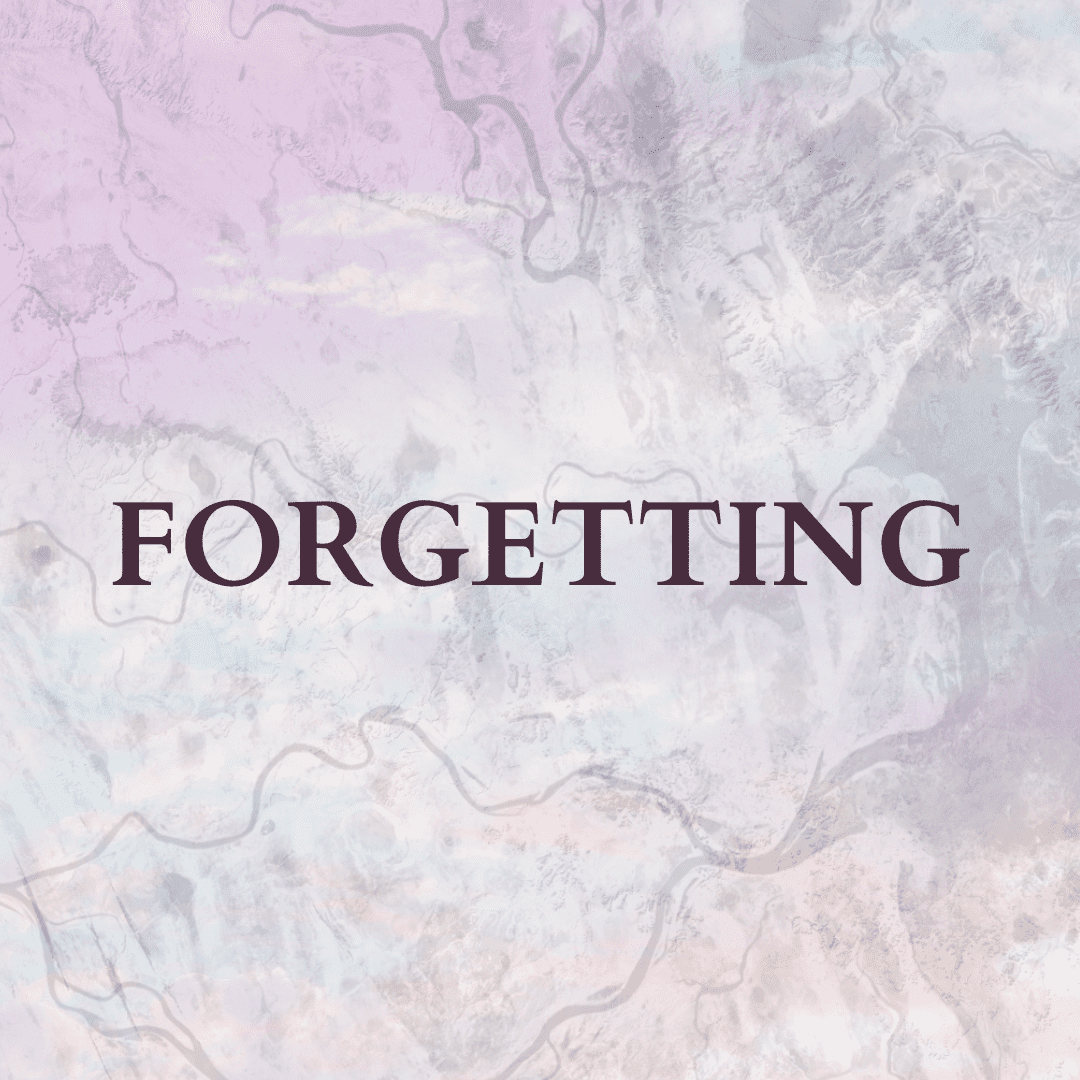 Text over pink background with grey shaded areas and thin wavy lines going horizontally, reading: FORGETTING.
