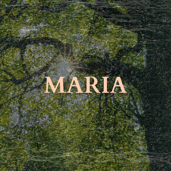 Text over a photo of a large leafy tree trunk reads: MARIA
