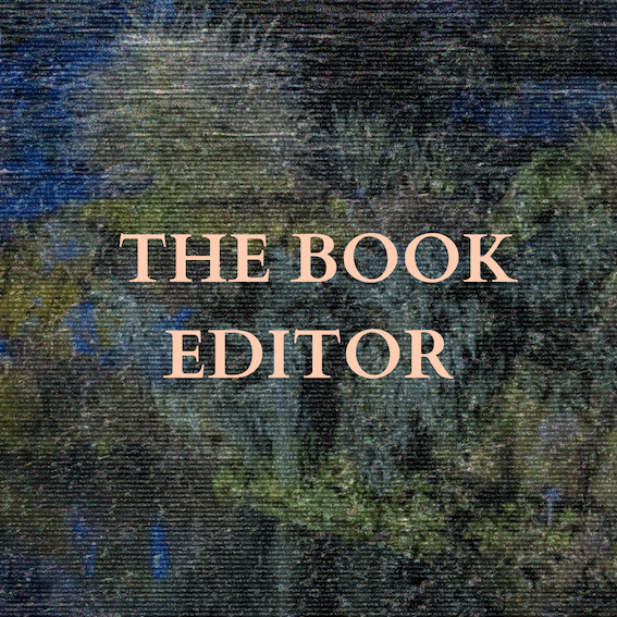 Text over an abstract blue and green background reads: THE BOOK EDITOR