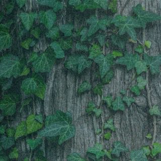 Close up photo of green ivy on a large brown tree trunk.