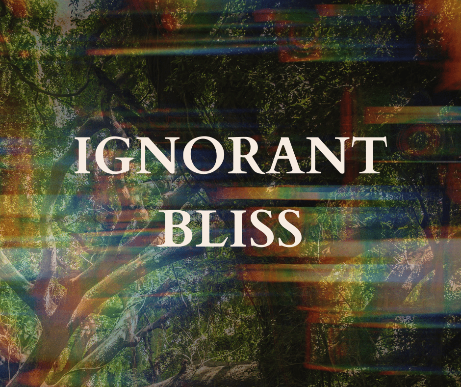 Light text over leafy trees with a rainbow light filter, reading: IGNORANT BLISS
