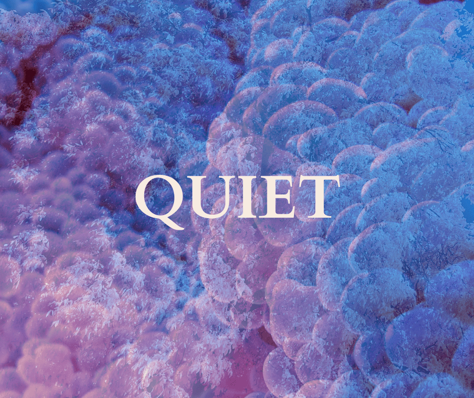 White text over many blue and purply-pink opaque bubbles, with lighter, faint leafy foliage scattered over the top reads: QUIET.