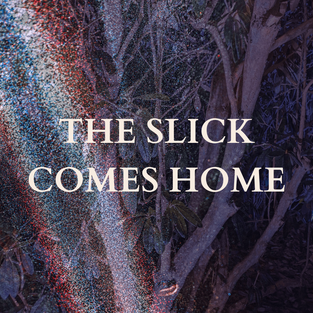 Text over tree with long leaves, overlaid with a beam of multicoloured light, reading: THE SLICK COMES HOME