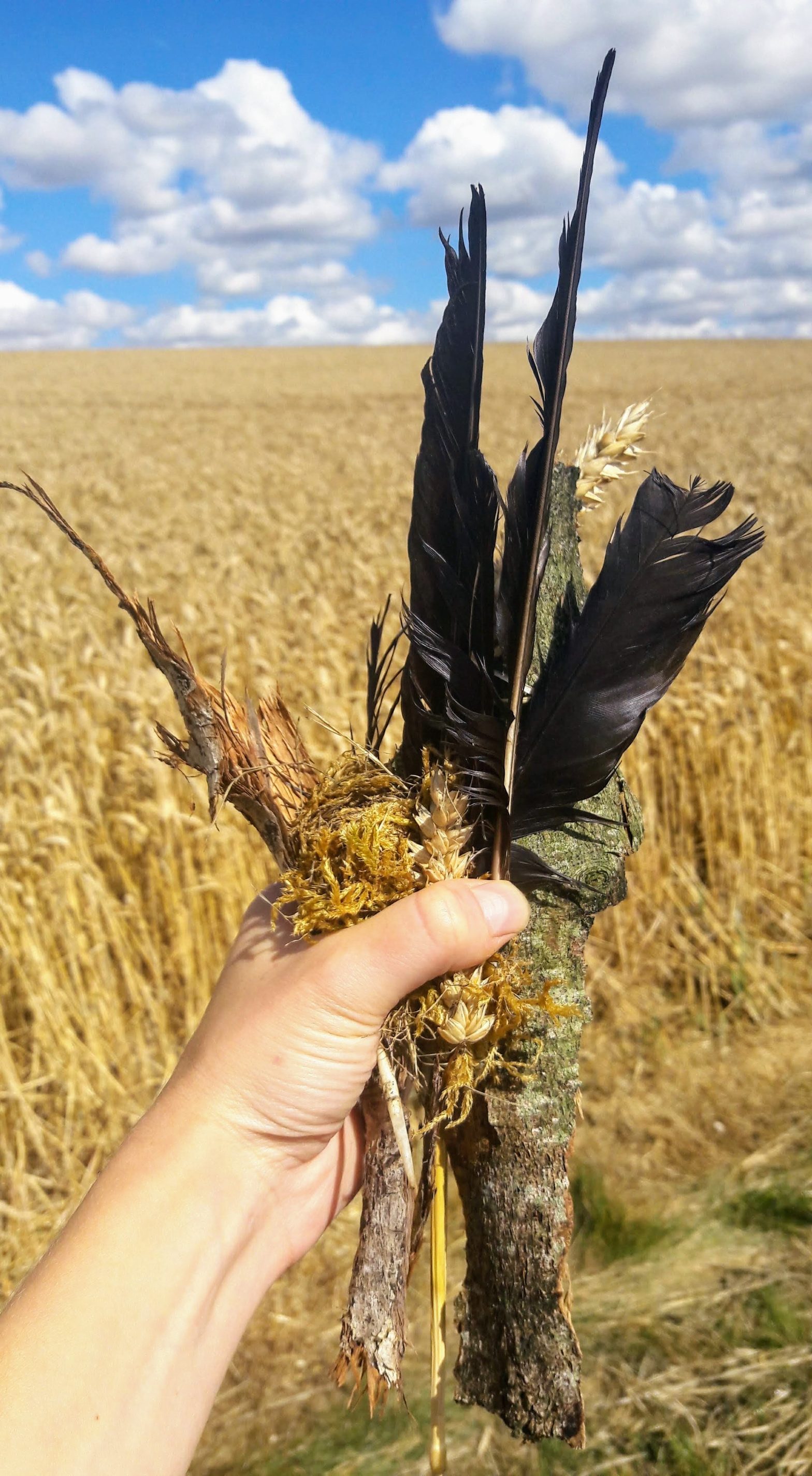 A hand holding a bunch of bark, twigs and feathers against the backdrop of a wheat field. Above the field is a bright blue sky with white clouds.
