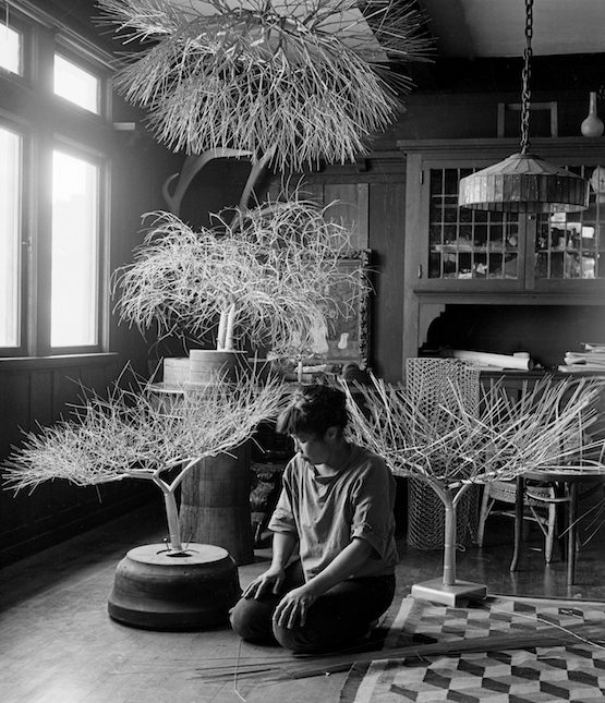 Ruth Asawa crouches by a window on the floor of her home, surrounded by intricate wire sculptures that resemble trees.