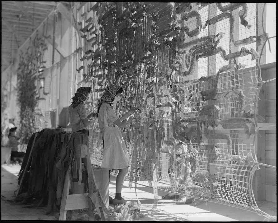 Two young women working with their hands on a very large hanging net that is covered with darker pieces of material they weave into it. Sunlight passes through the net, the women wear light dresses and one wears a headscarf.