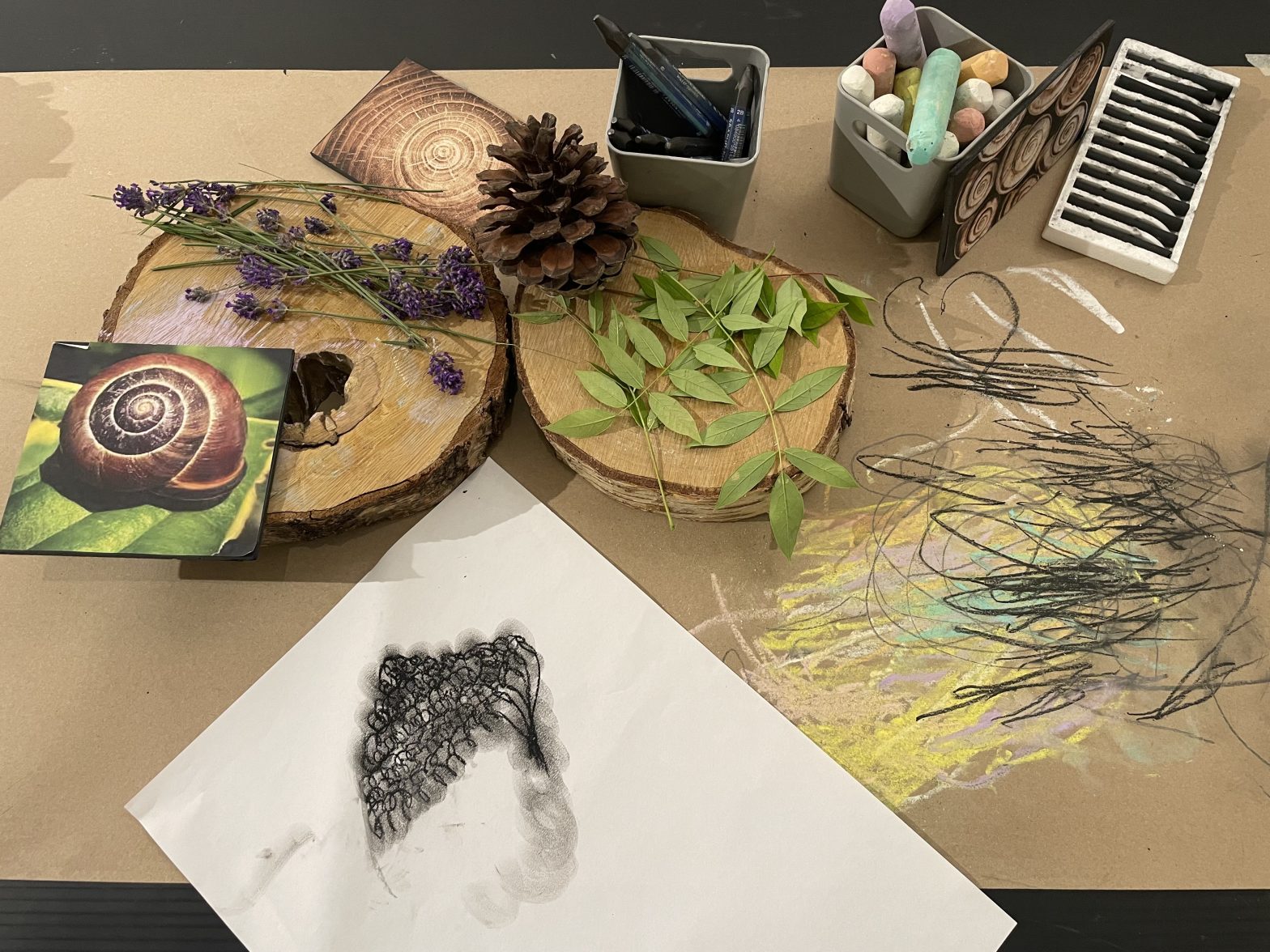 A series of leaves and pinecones arranged on a table. There is a charcoal sketch of a leaf on a piece of paper next to them.