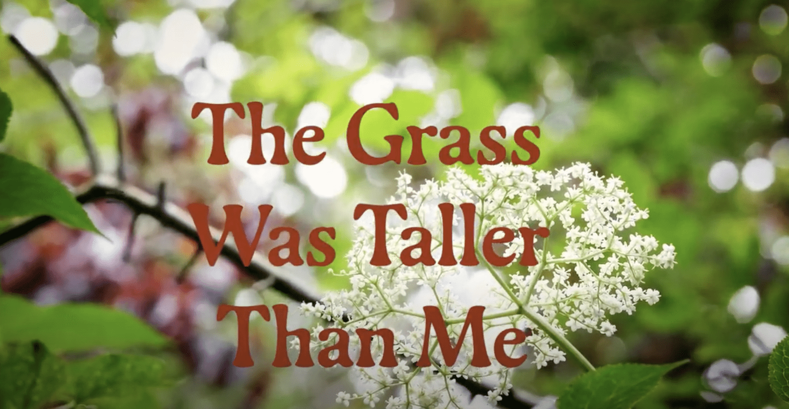 Green plants with text superimposed reading 'The Grass Was Taller Than Me'